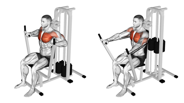 Best Chest Exercises Workouts For Men Boss Hunting