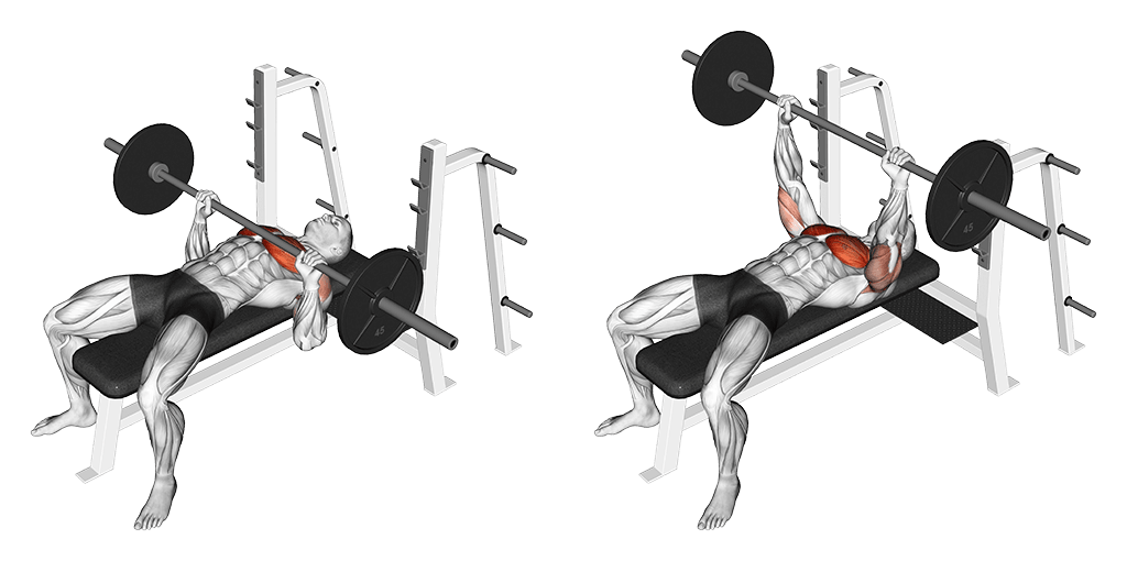 Barbell Bench Press