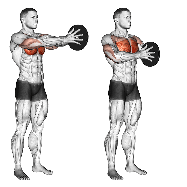 Best Chest Exercises for men