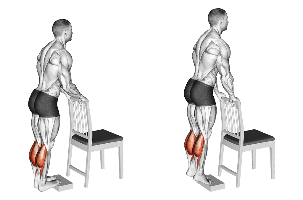 Bodyweight Calf Raises - Perfect Leg Workout