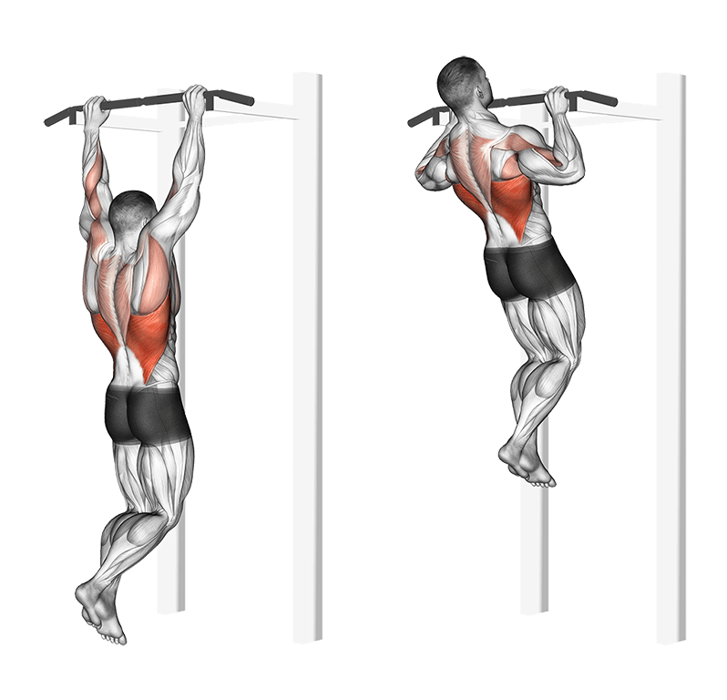 Chin-ups