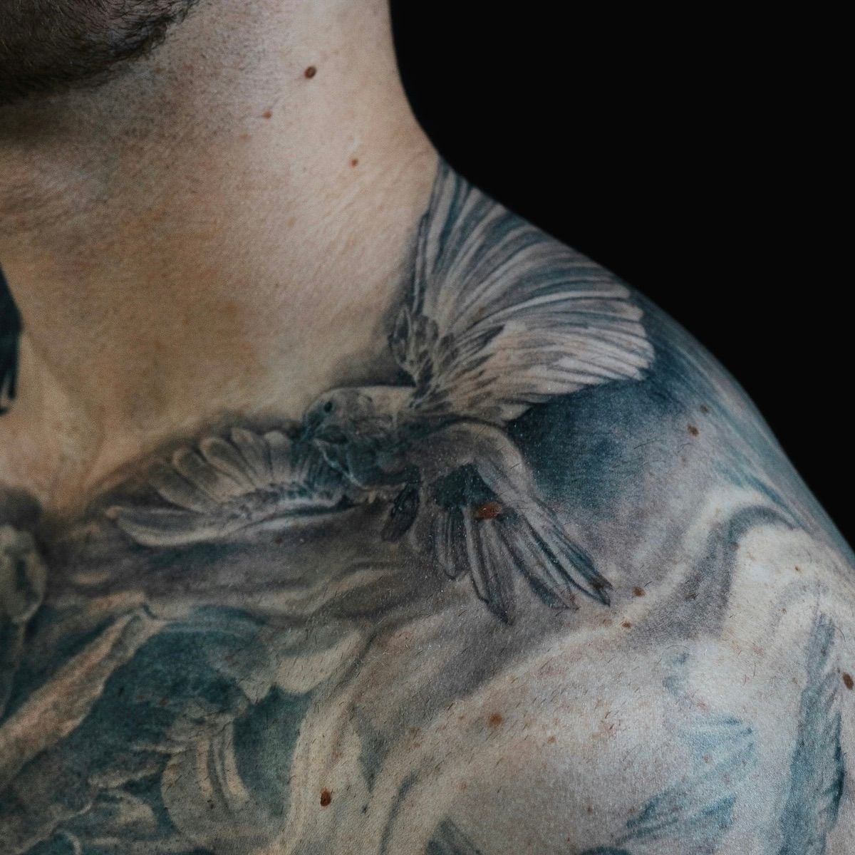 Dove Tattoo 2