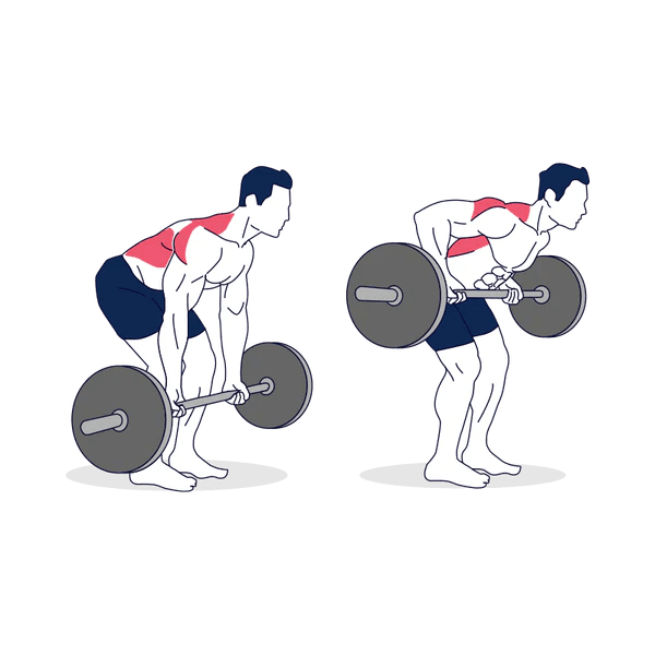 Bent-Over Row