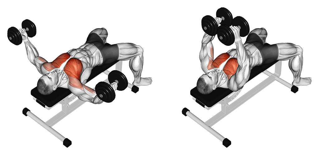 Dumbbell Fly