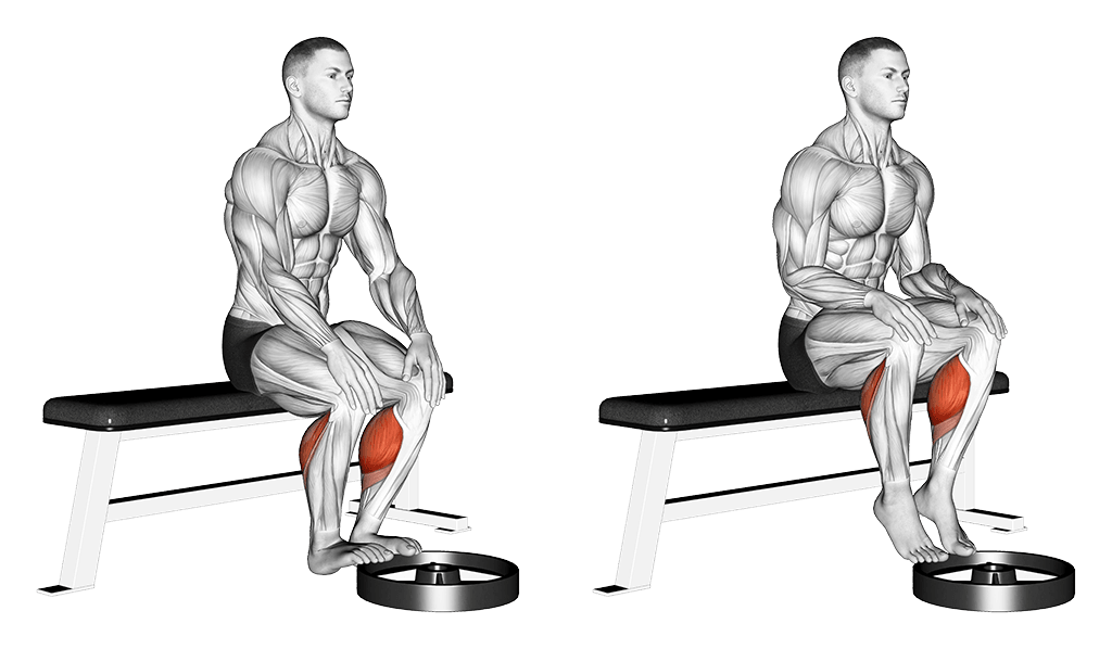 Sitting Calf Raises