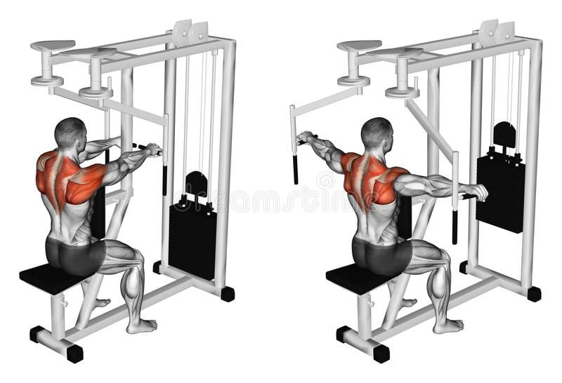 Workout On the Rear Deltoid Machine