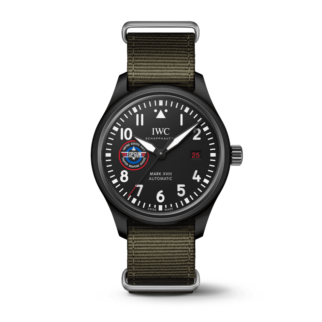 IWC top gun school