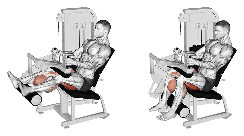 Machine Hamstring Curls
