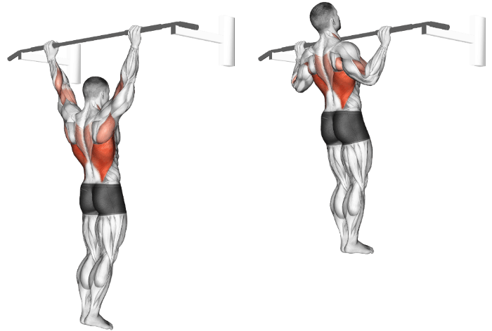 Best Lat Exercises