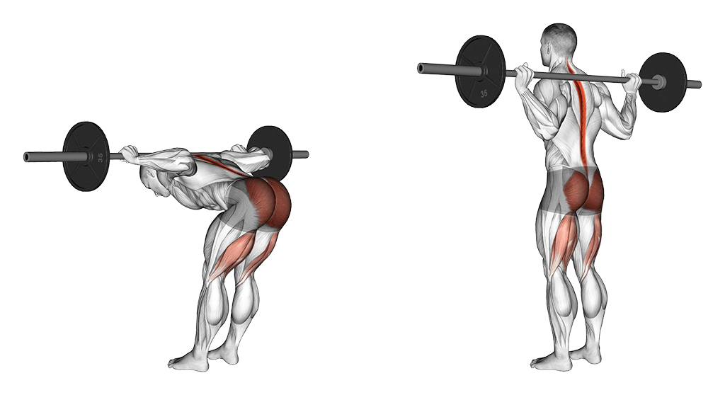 Goodmornings - Perfect Leg Workout