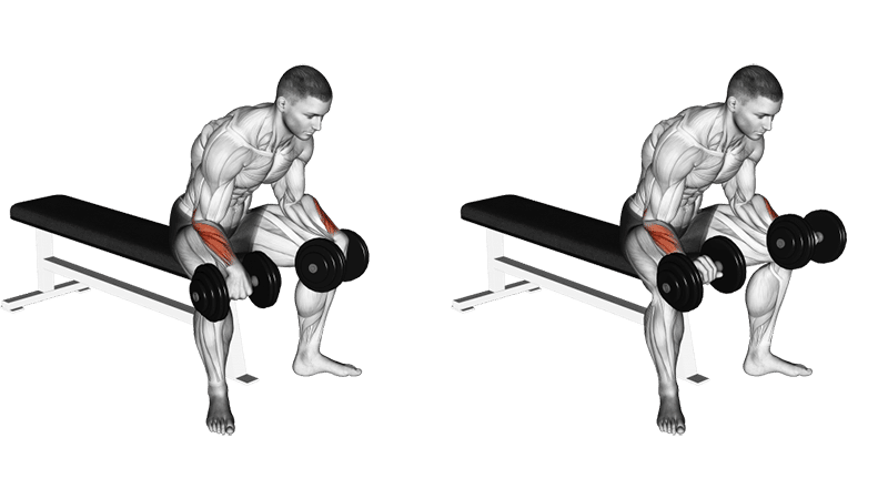 Best Forearm Exercises