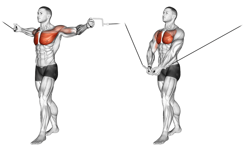 Facing-Away Cable Curl