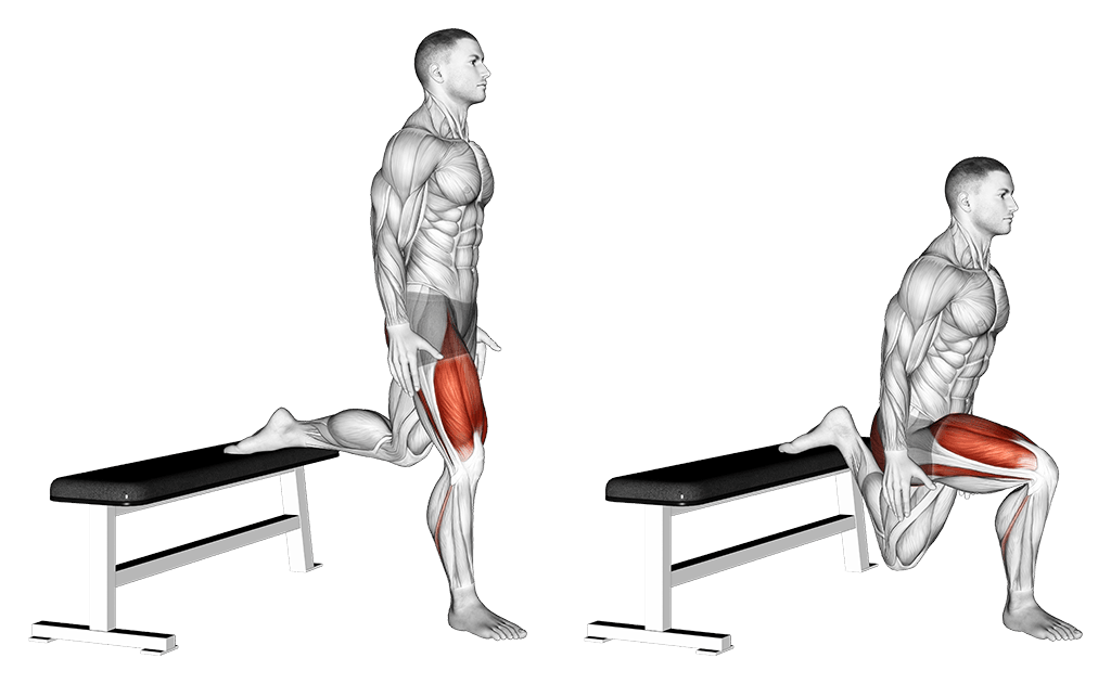 Bulgarian Split Squats - Perfect Leg Workout