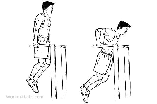 best tricep exercises
