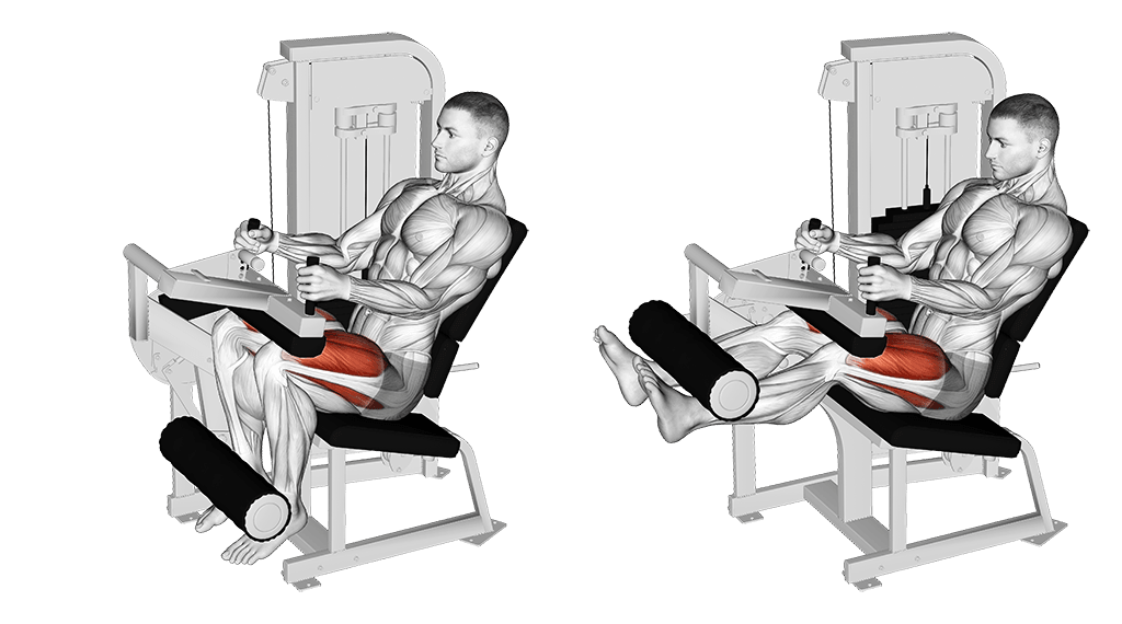 Machine Leg Extensions