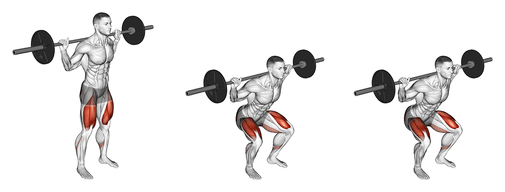 Back Squats