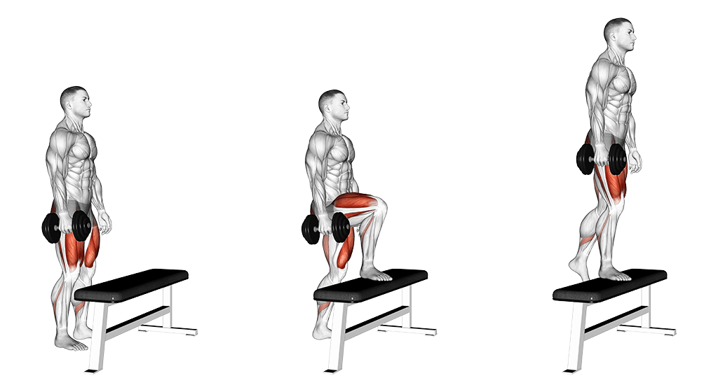 Dumbbell Step Ups