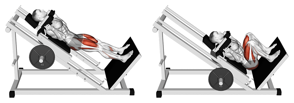 Hack Squats - Perfect Leg Workout