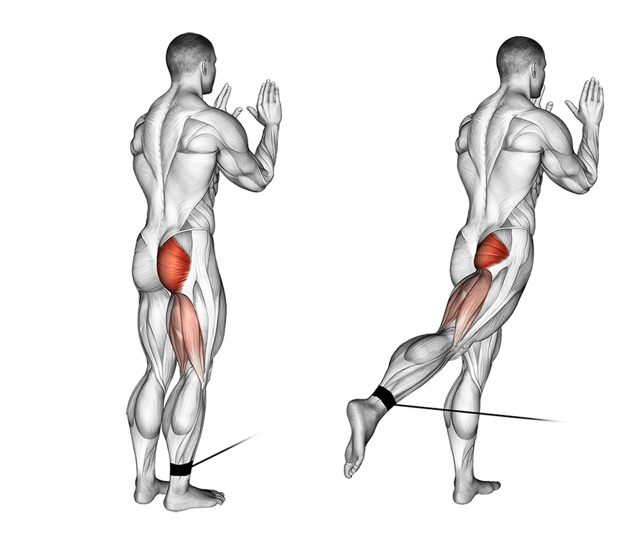 Single-Leg Cable Hip Extension