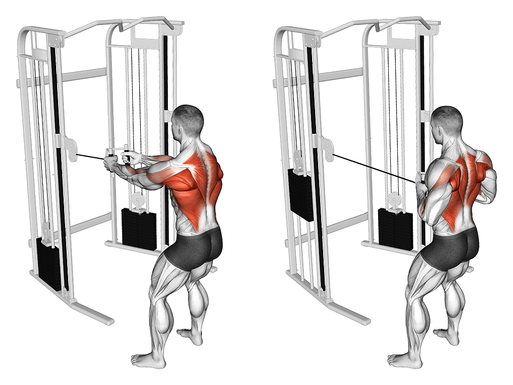 Standing Cable Row Best Lat Exercises