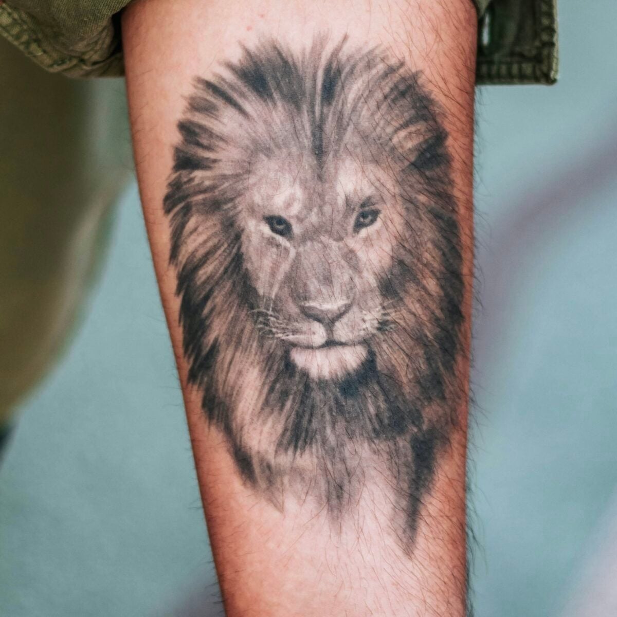 Wild Animals1 3