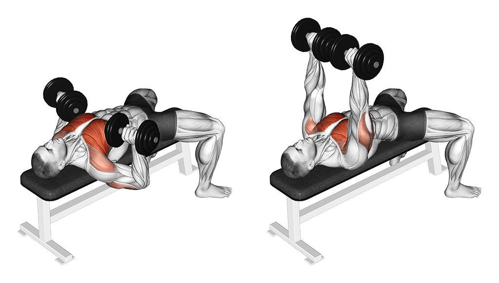 Flat Dumbbell Bench Press