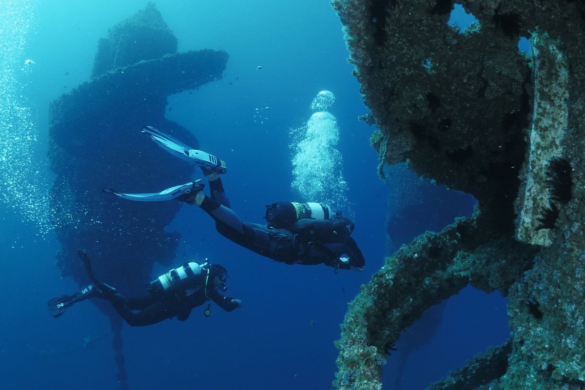 Wonder Reef