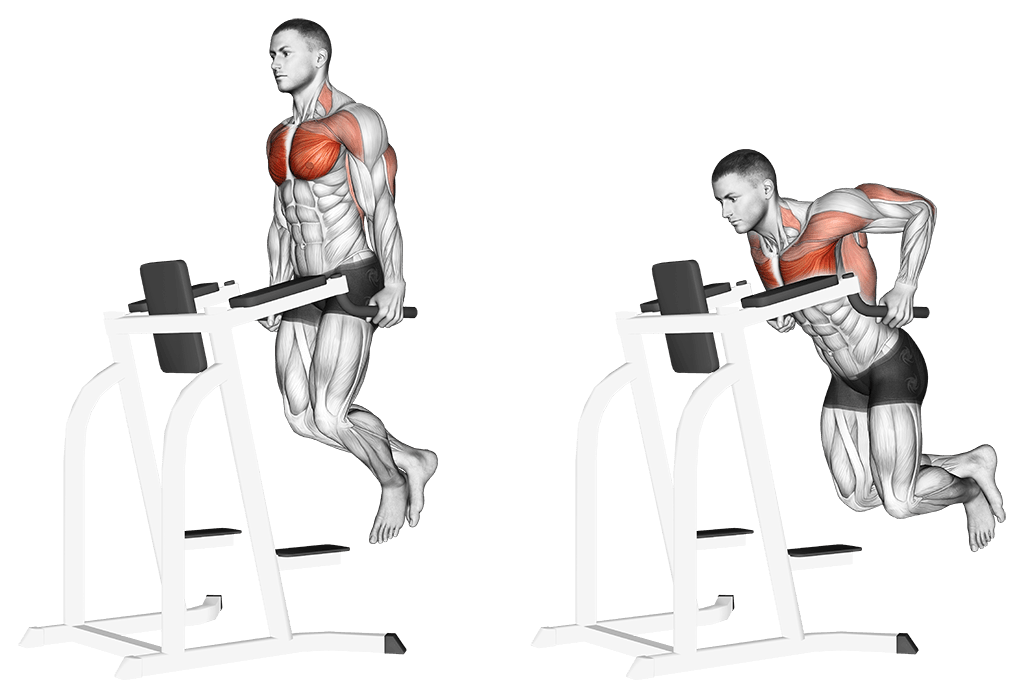 Chest Dip