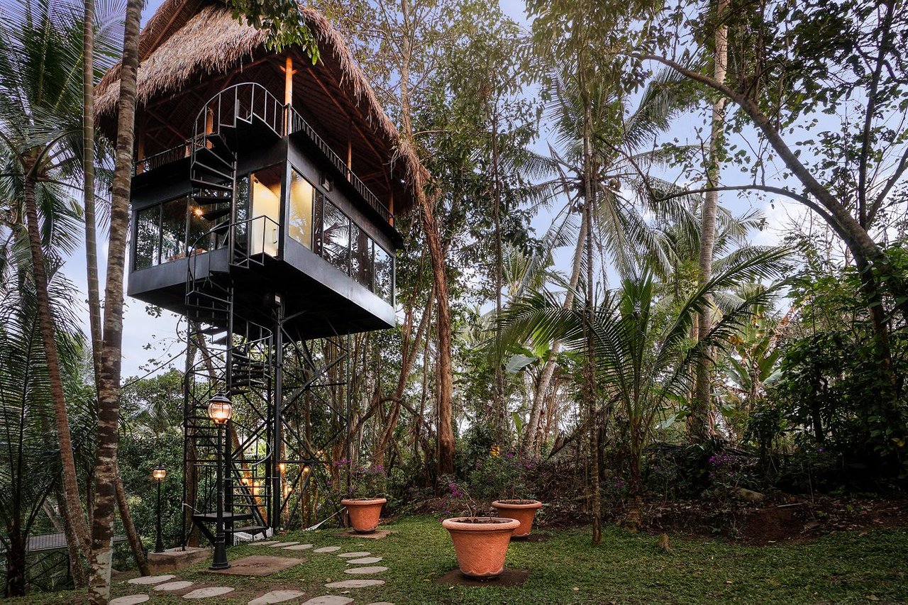 Get Your Tarzan On At Bali’s New Treehouse Resort LiFT