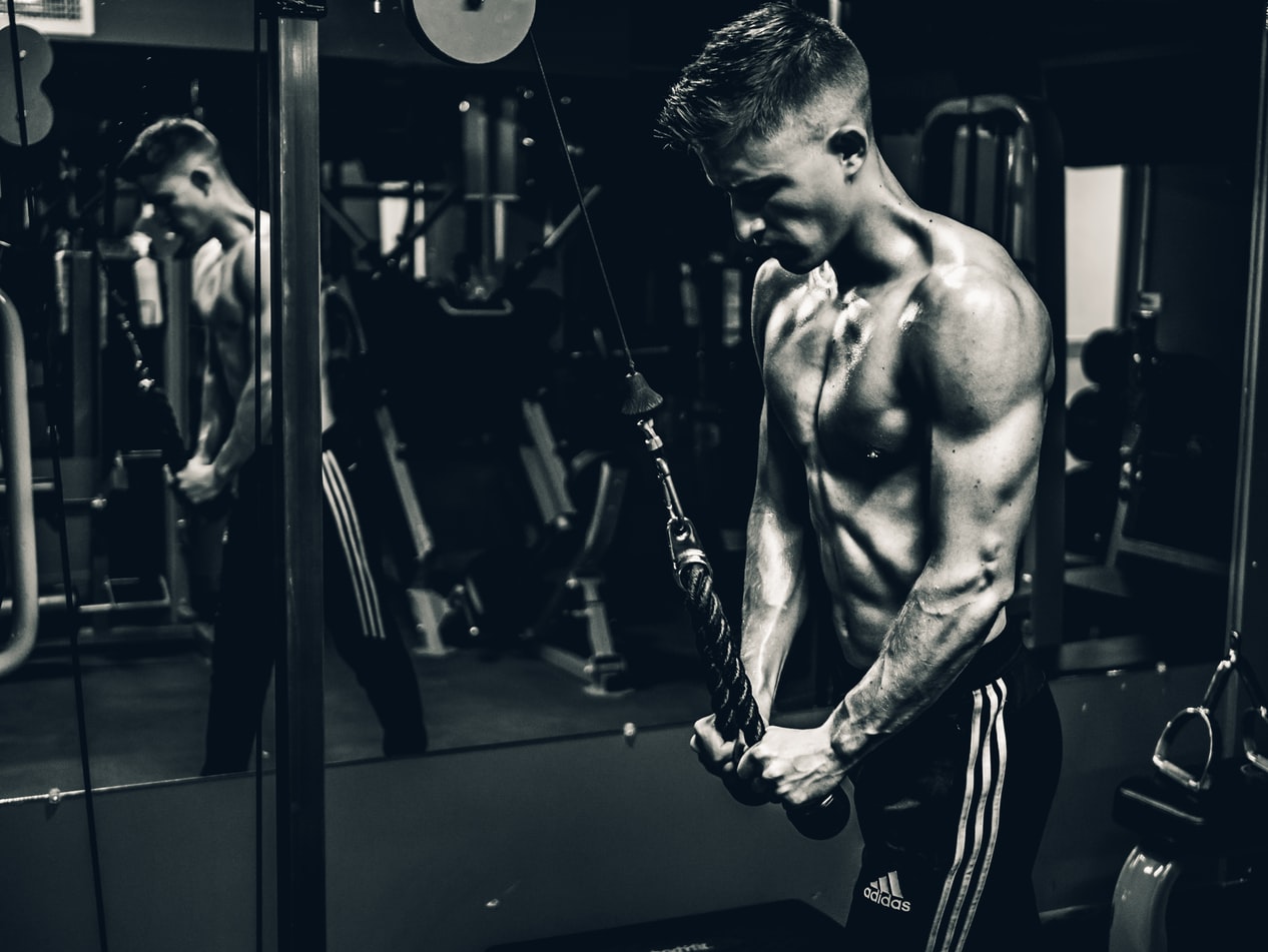 Your Guide To Actually Getting Ripped In 2020