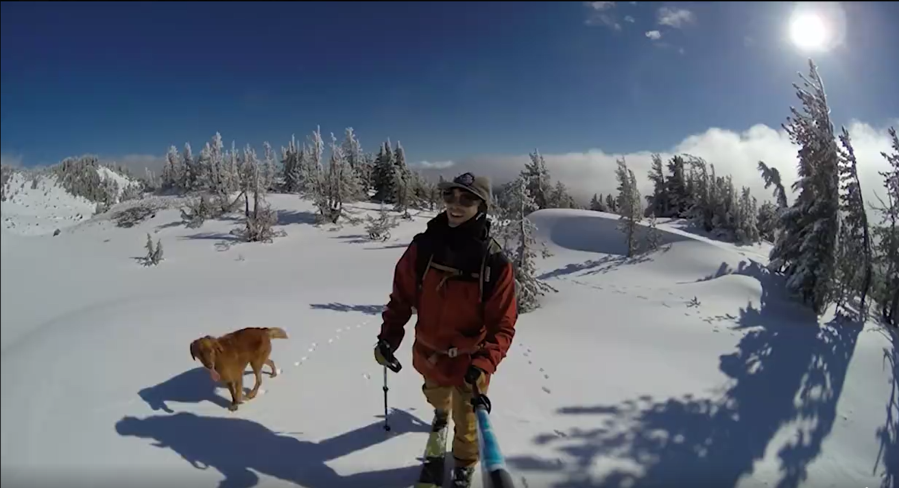 This Guy Skiing With Dogs Will Get You Through These Tough Times