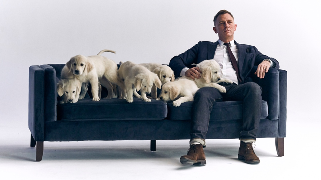 Daniel Craig (and Some Puppies) are Giving Away an Aston Martin