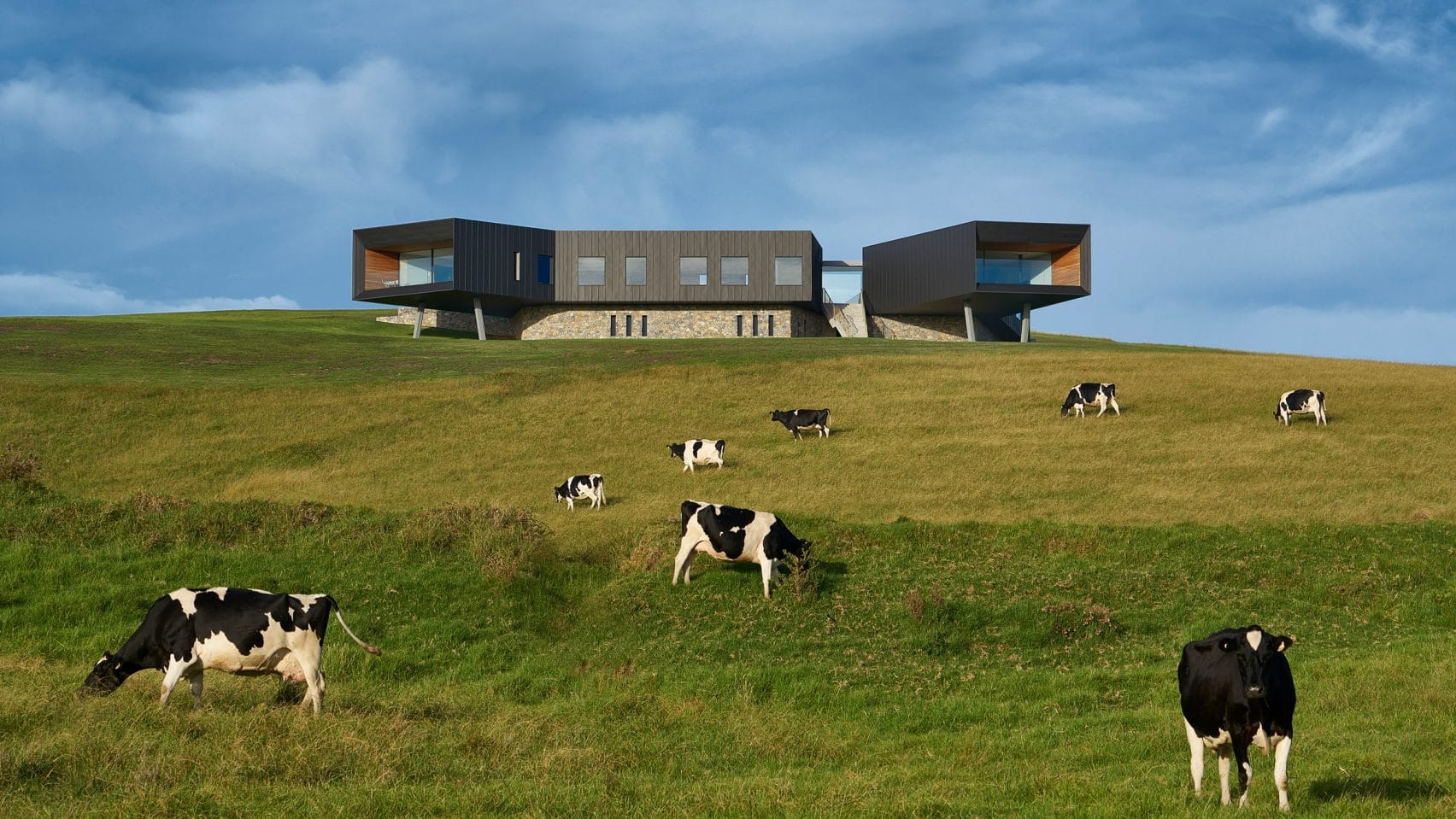 Inside Headland House By Dovecote From Atelier Andy Carson