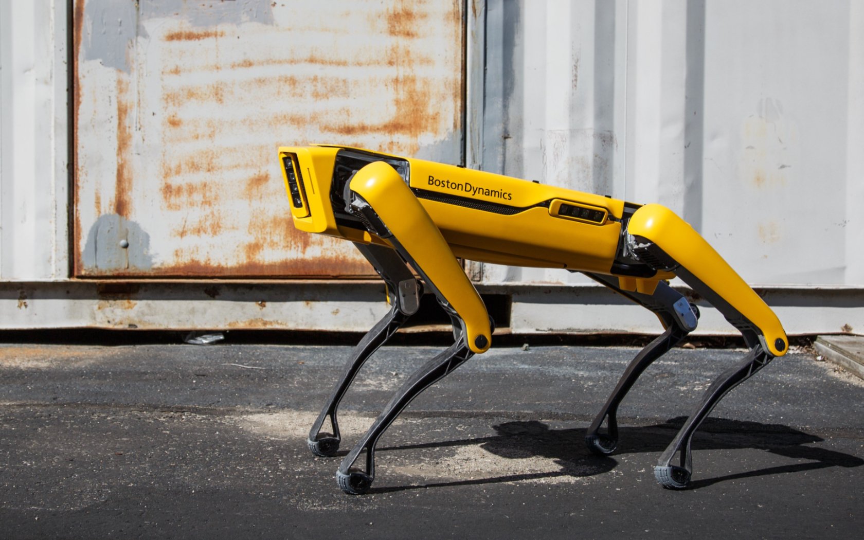 Bloke Takes US$75,000 Boston Dynamics Robotic Dog For A Walk