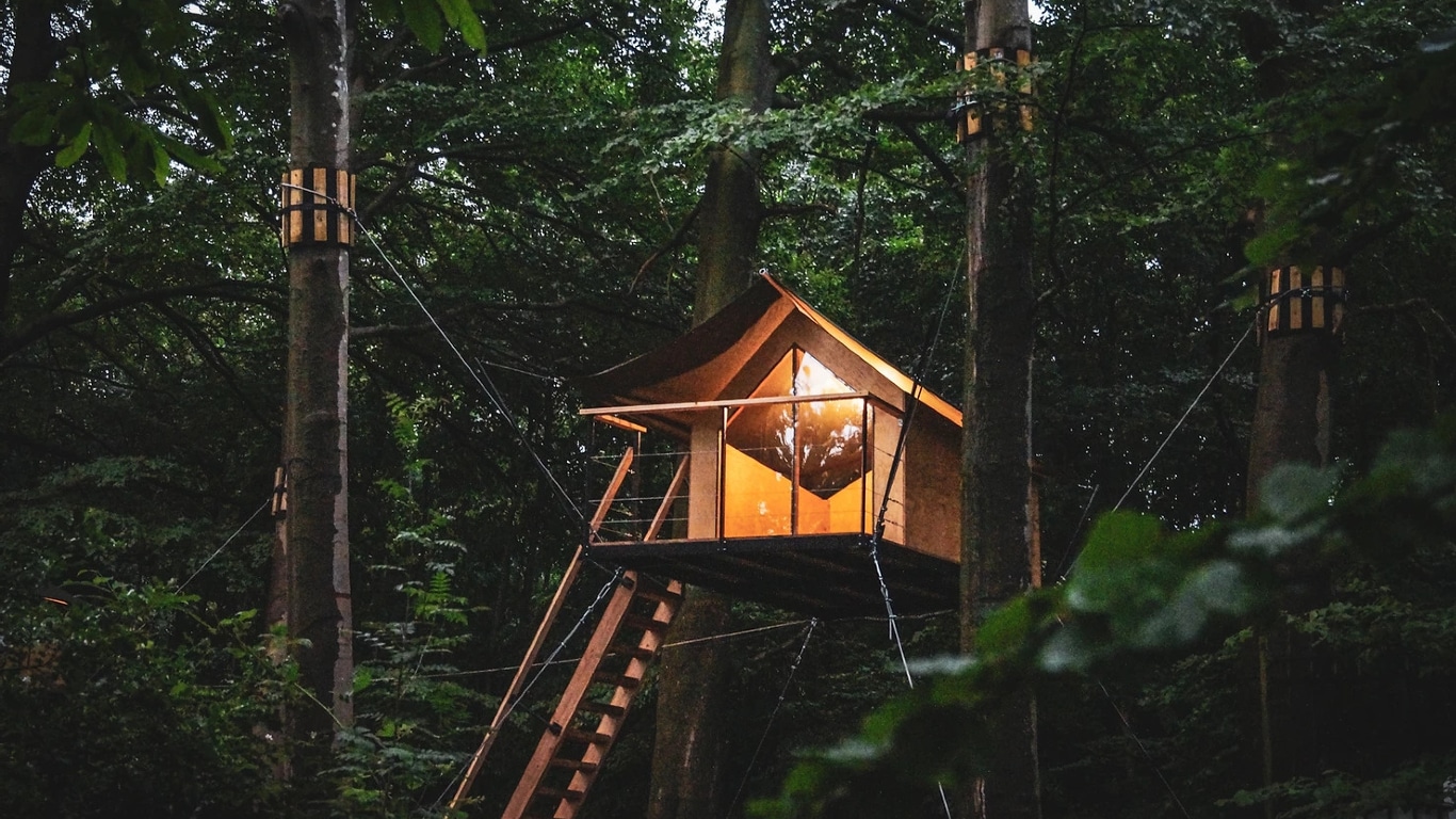 Boomkamp Treehouse Hotel Is All About The Simple Pleasures