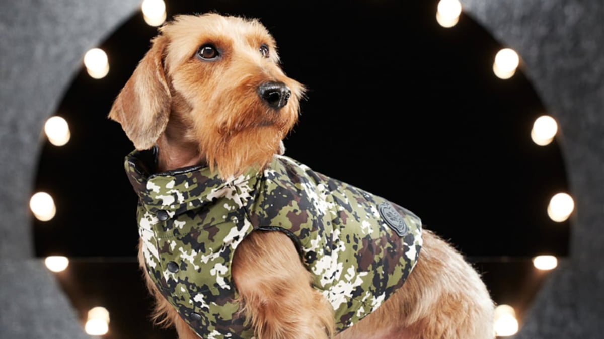 Moncler Dog Couture Is Doggie Style At Its Best