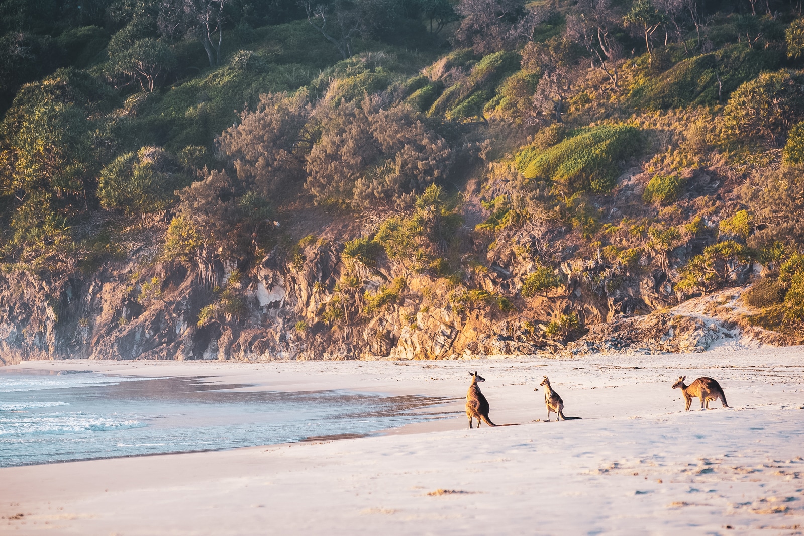 A Weekend Guide To North Stradbroke Island