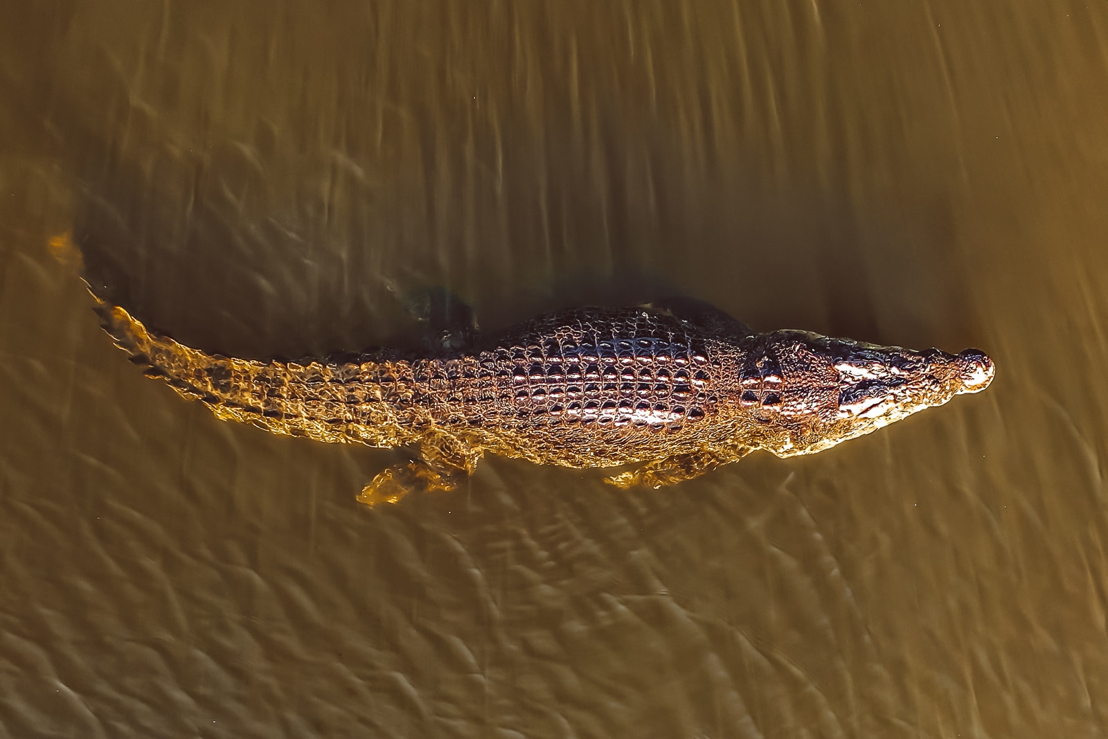 Kakadu Should Be At The Absolute Top Of Your Domestic Bucket List