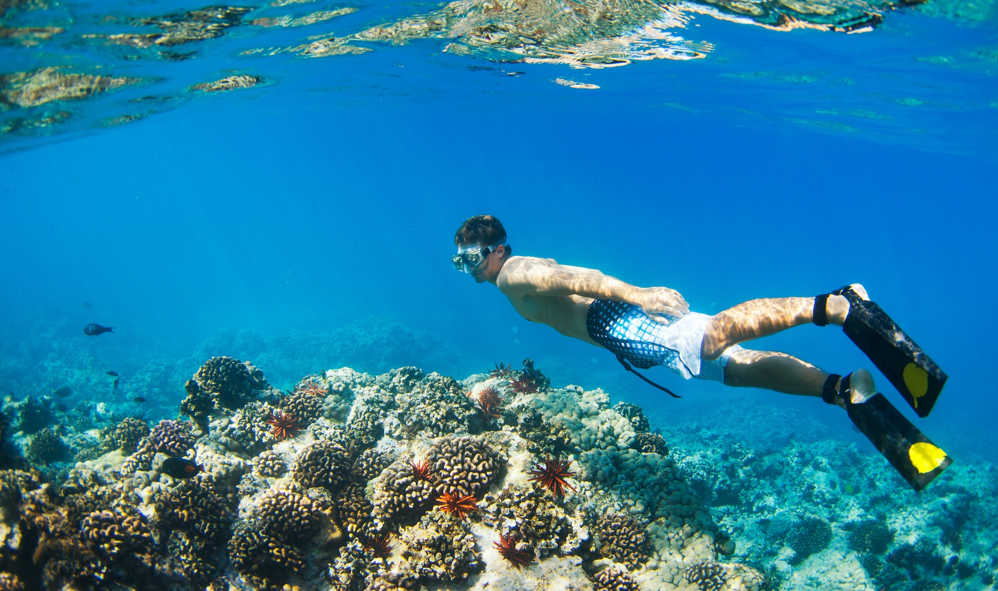 Bloke Discovers $2 Million Worth Of Cocaine While Snorkelling