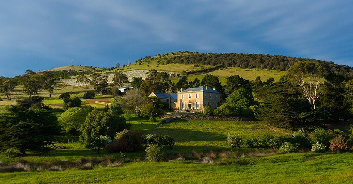 The Best Australian Wines Of 2023 (According To James Halliday)