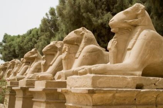 Egypt Completes Restoration Of 3,000-Year-Old Luxor Temple Sphinxes