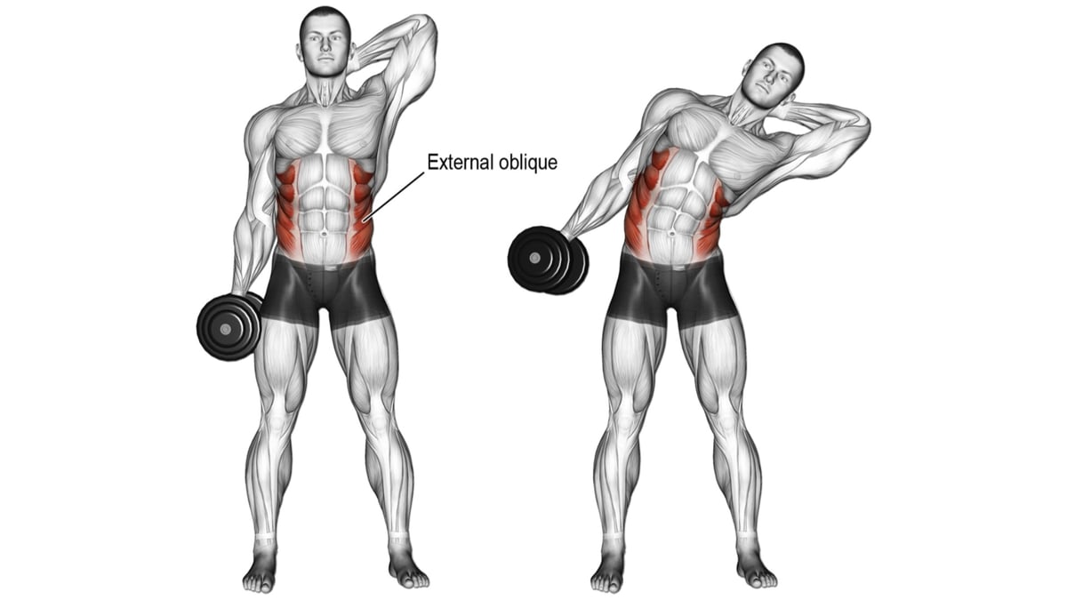 Ab exercises for online each muscle