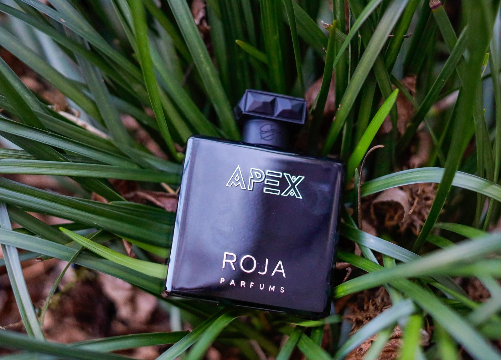 TOP FIVE FRIDAY // Fragrances