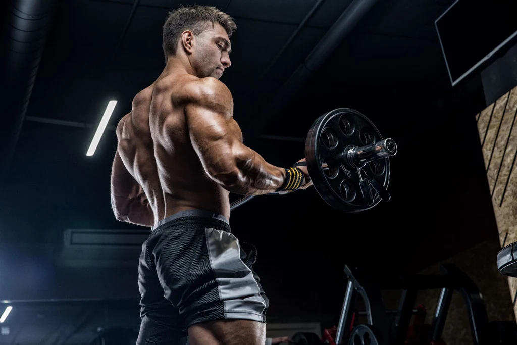 The Best Tricep Exercises for Mass - bodybuilding