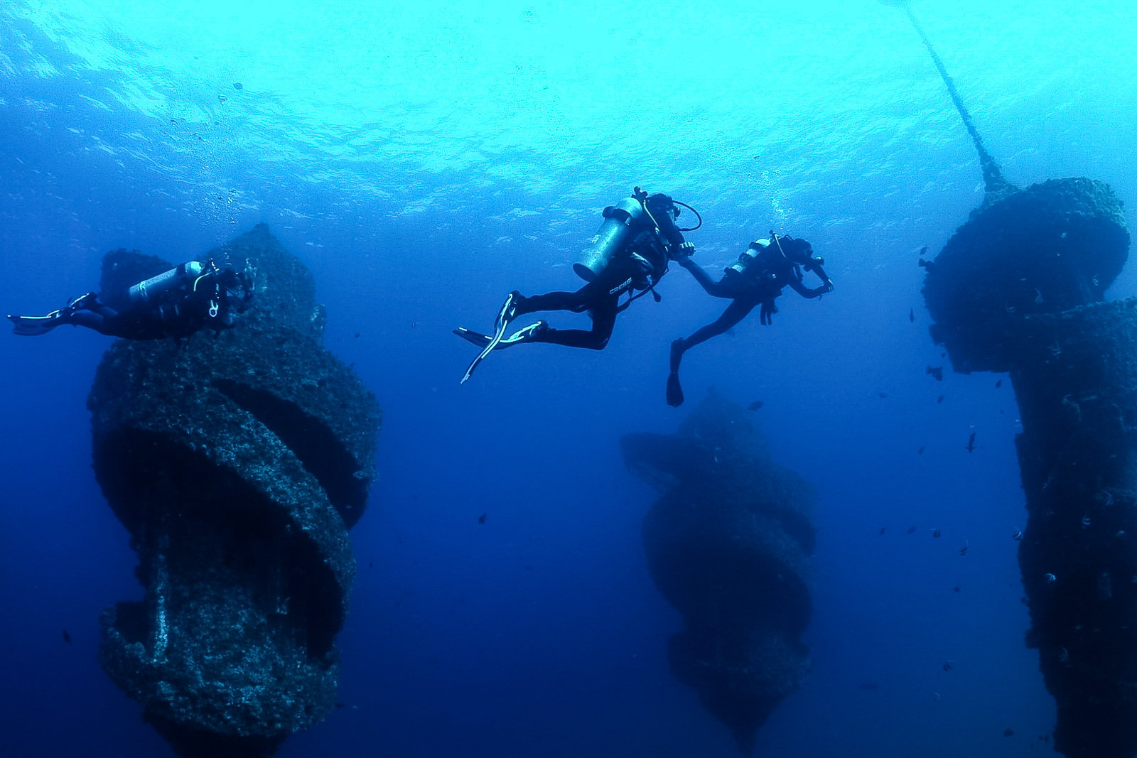 We Dived The Gold Coast’s New World-First Buoyant Reef