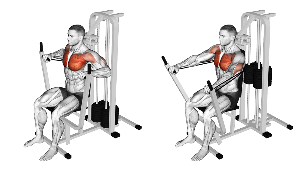 15 Machine Chest Exercises for Men: Your Complete Guide