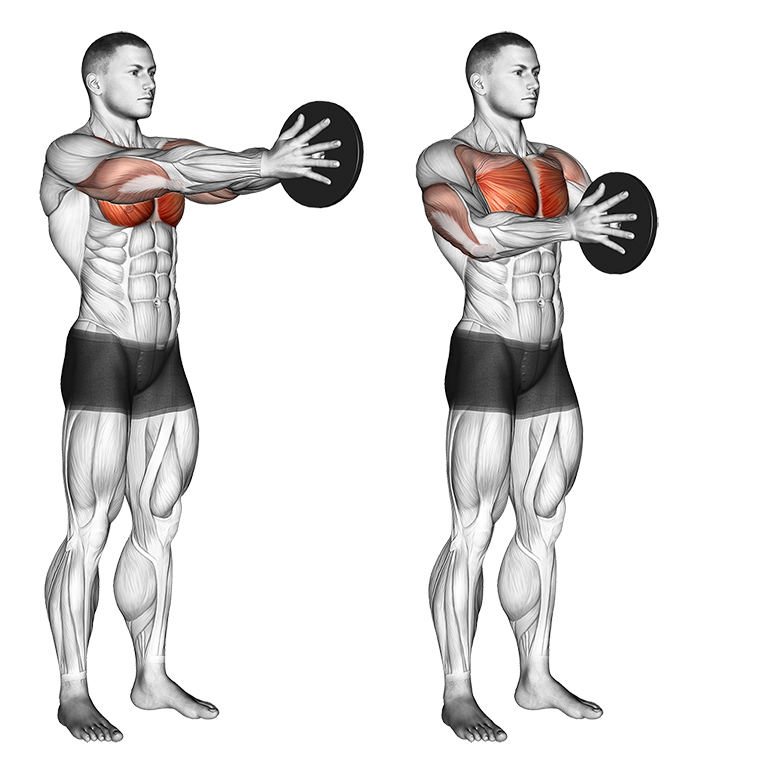 Cable Chest Workouts: How to Build a Strong and Sculpted Chest