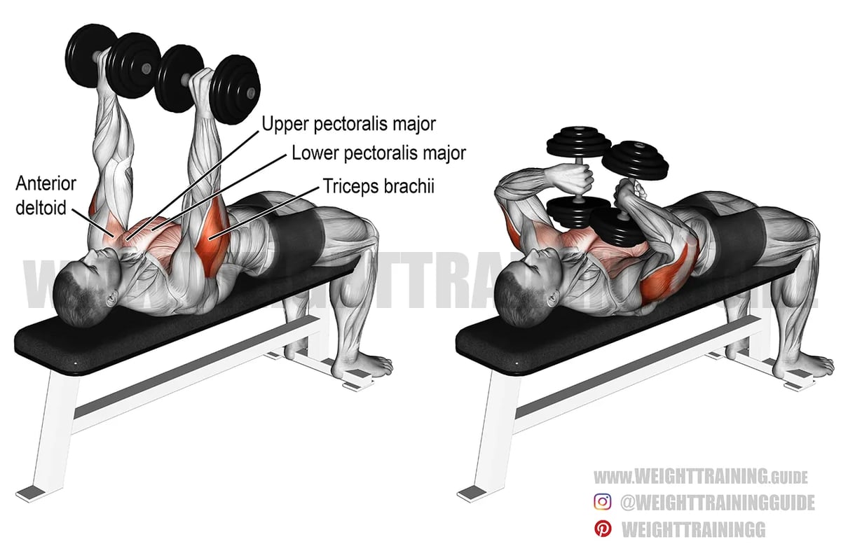 10 Best Dumbbell Tricep Exercises from a Trainer — Runstreet