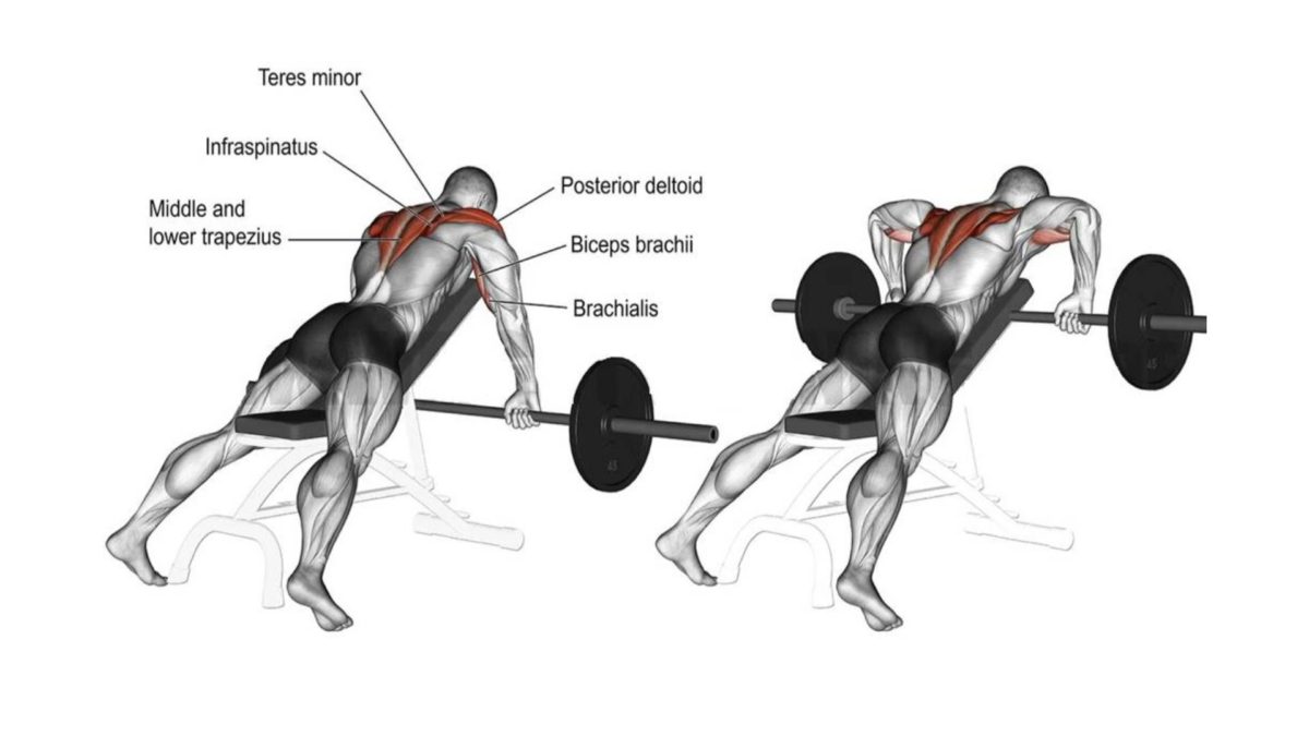 Workout for discount traps and delts