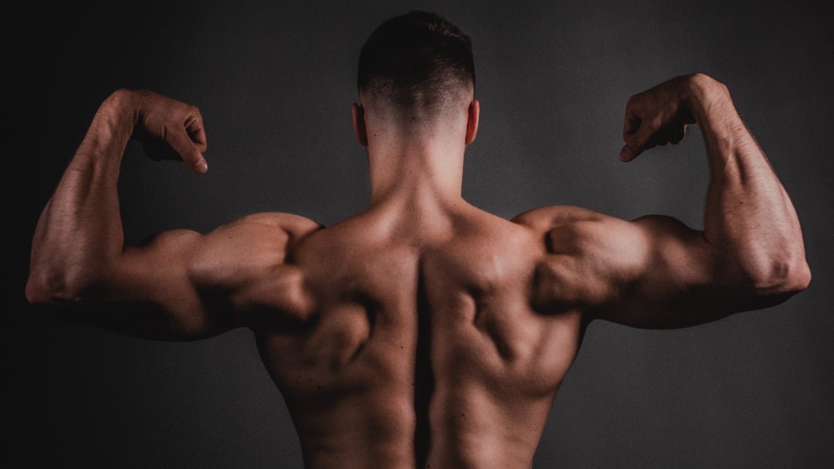 19 best shoulder exercises known to man